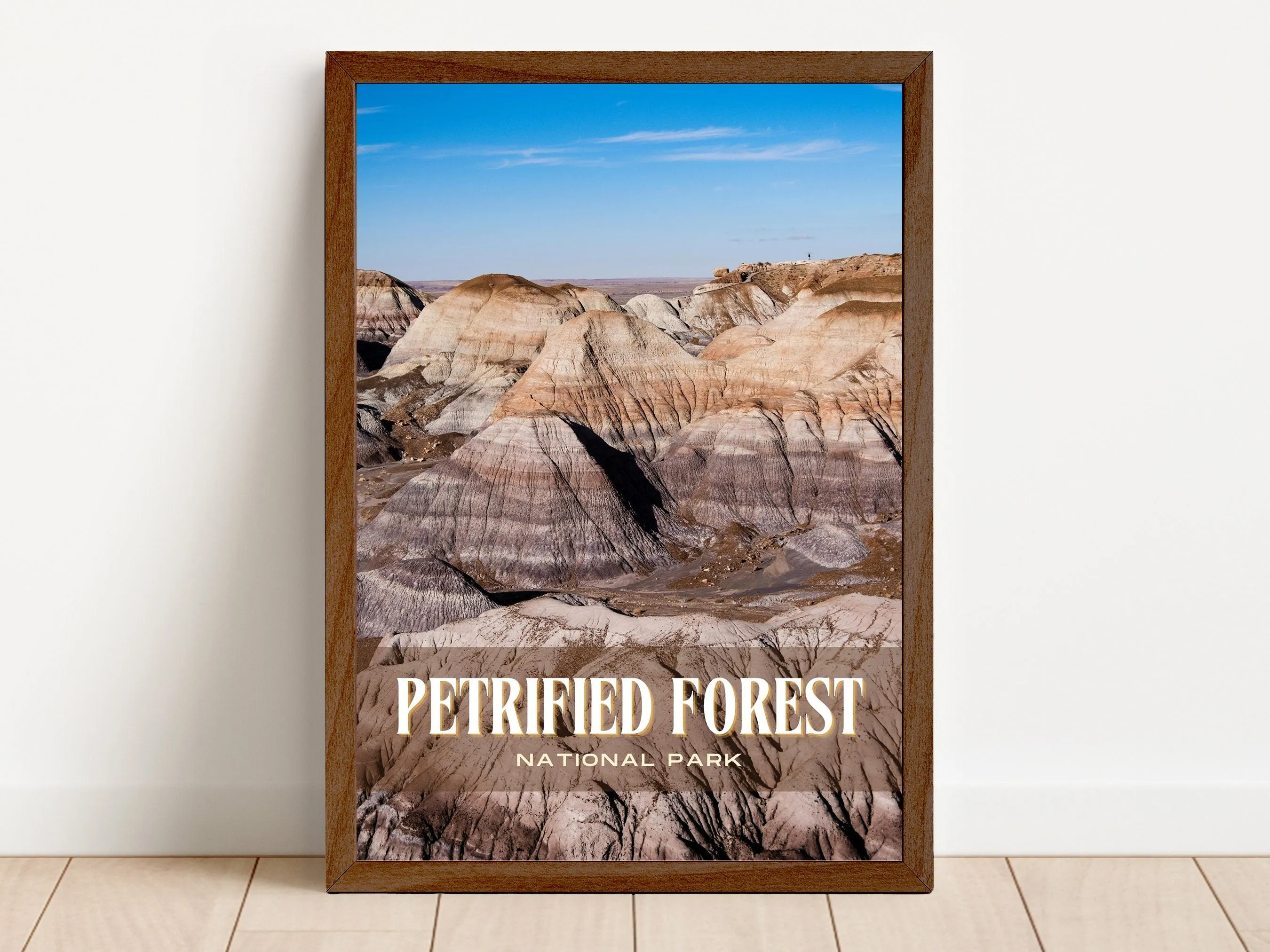 Petrified Forest Retro Wall Art, Arizona, USA
