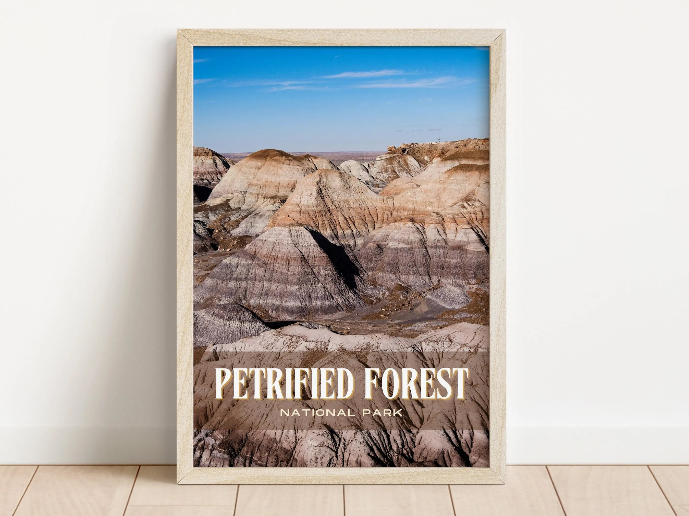 Petrified Forest Retro Wall Art, Arizona, USA