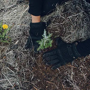 Plant One Tree