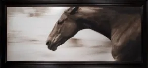 "Gallop" from the Hyden Collection - Natural Curiosities