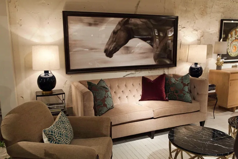 "Gallop" from the Hyden Collection - Natural Curiosities