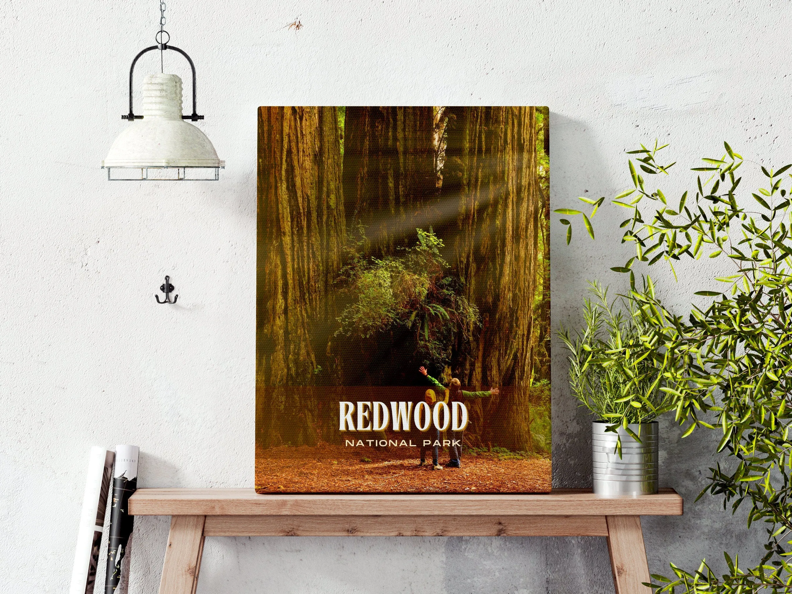 Redwood National Park Retro Wall Art, California, USA