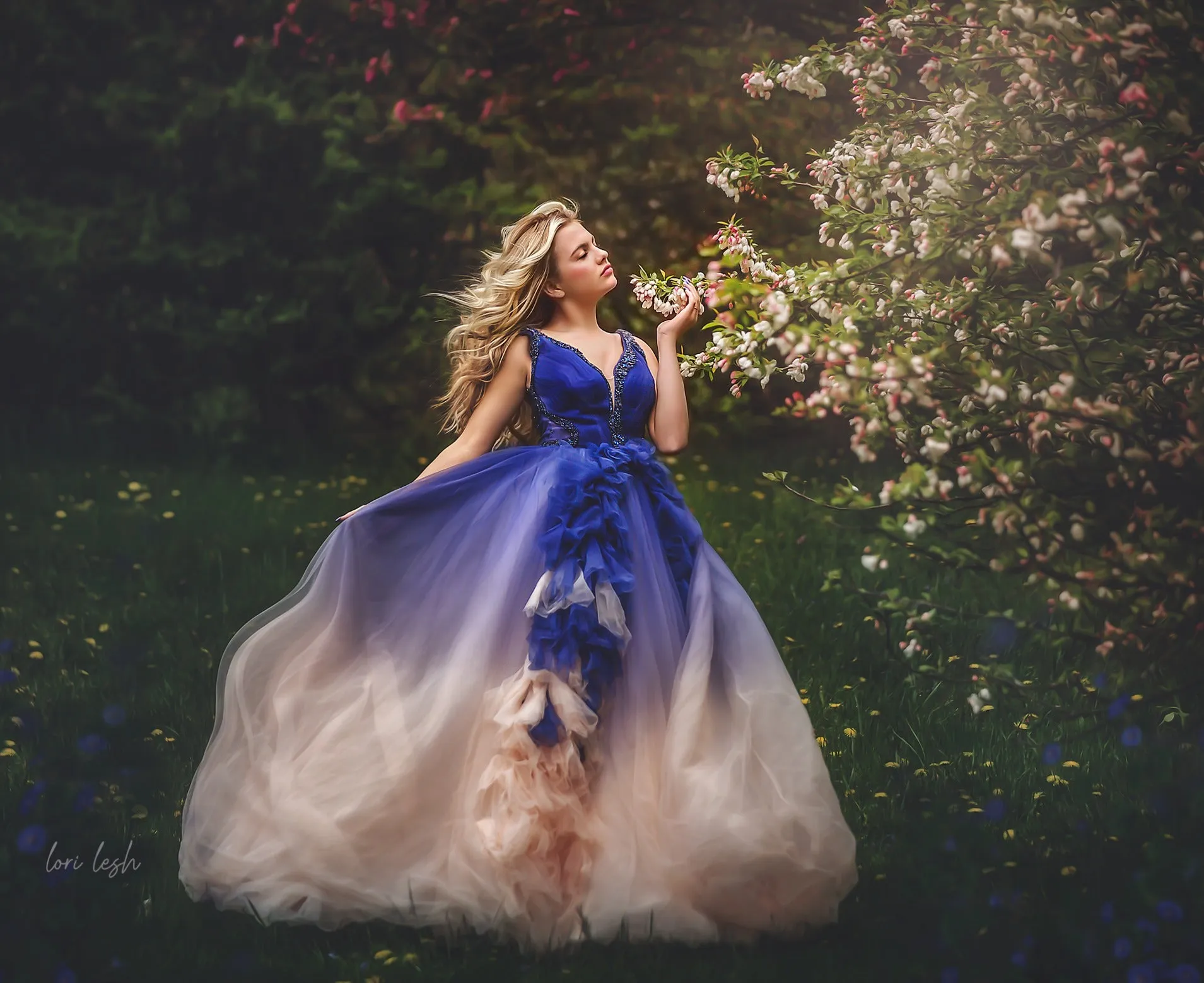 Royal Butterfly