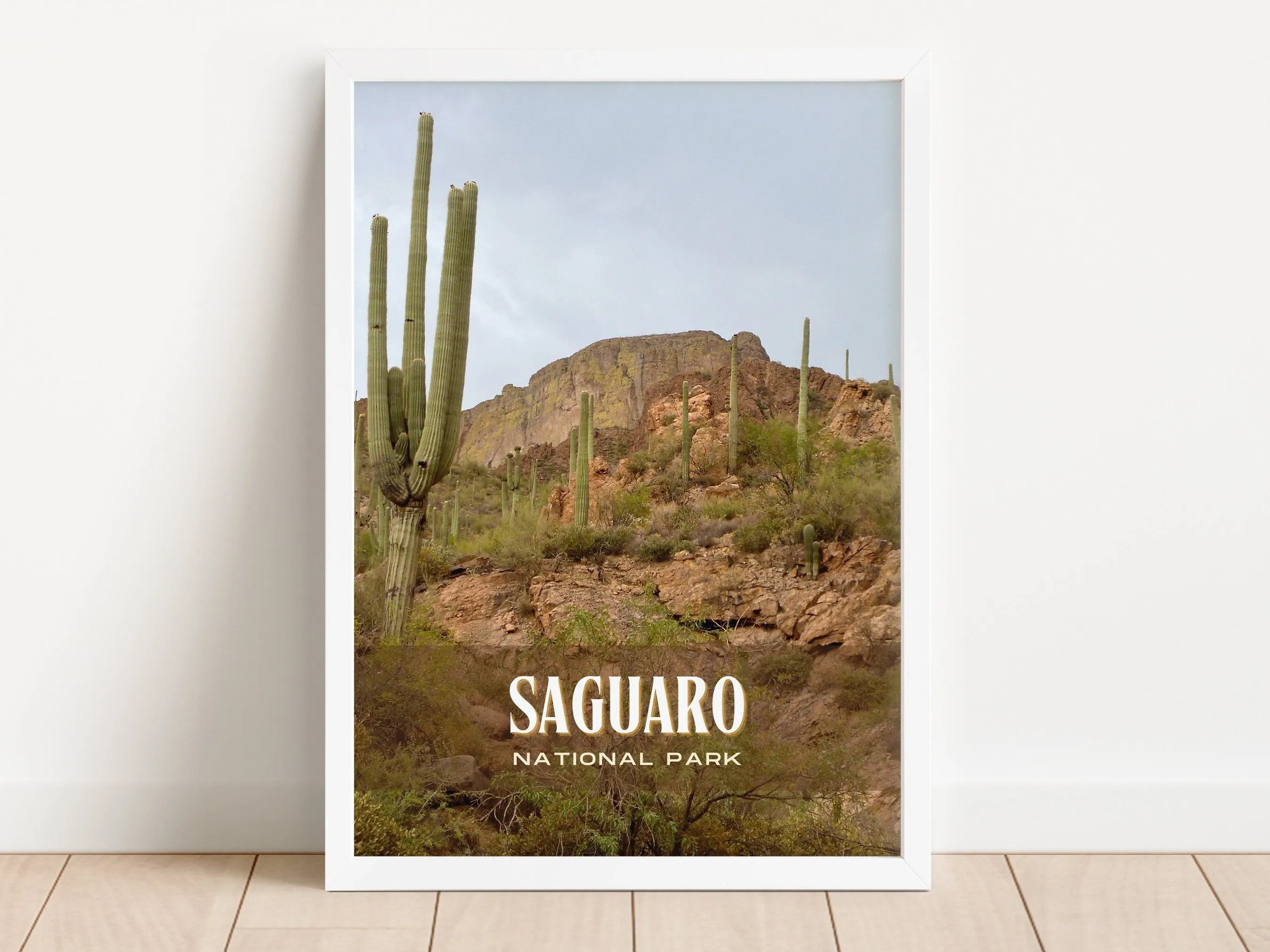 Saguaro National Park Retro Wall Art, Arizona, USA