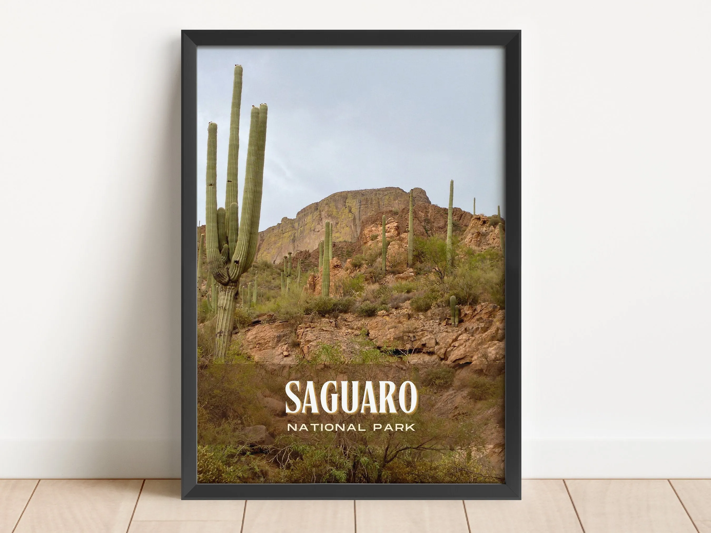 Saguaro National Park Retro Wall Art, Arizona, USA