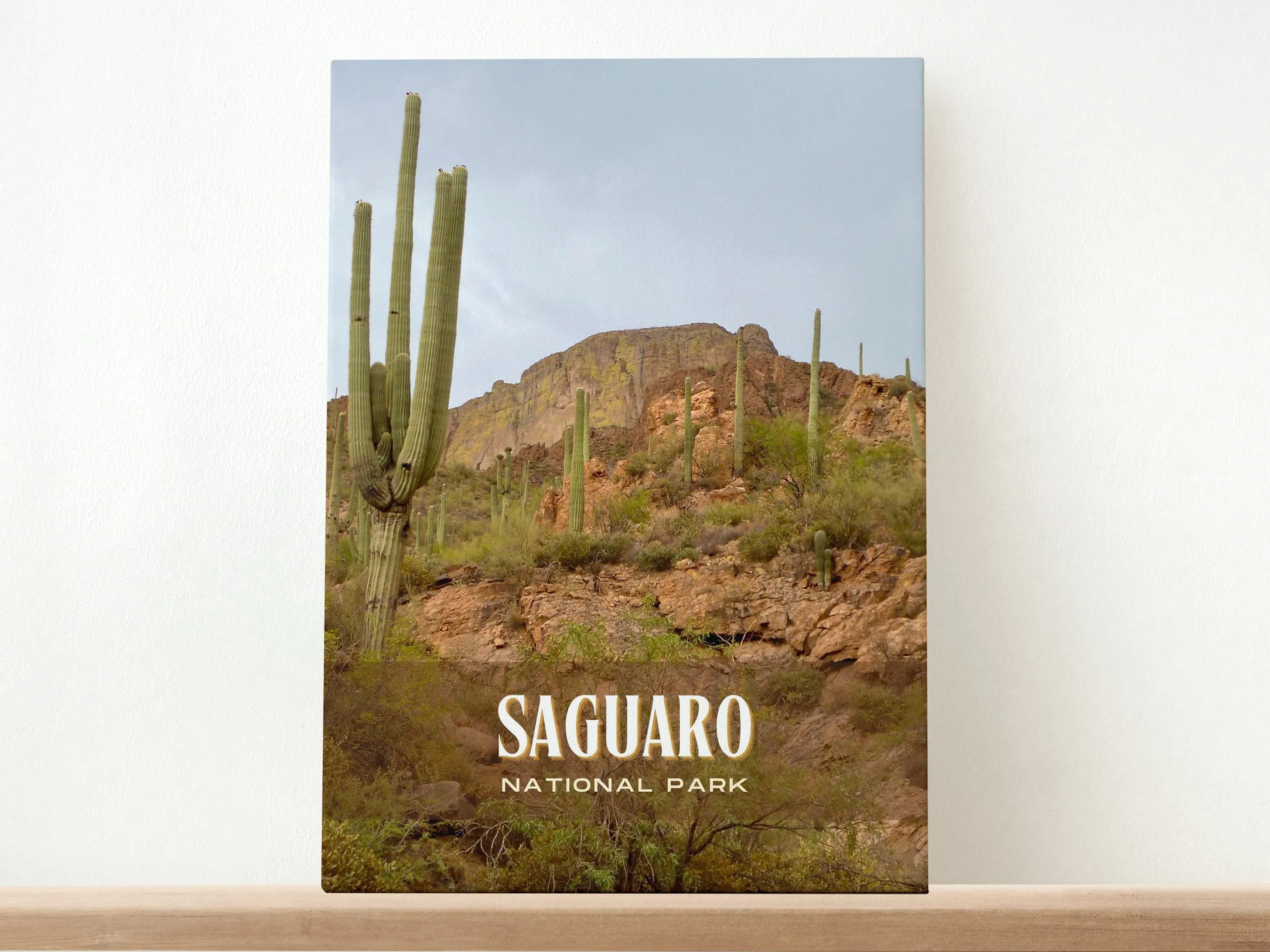 Saguaro National Park Retro Wall Art, Arizona, USA