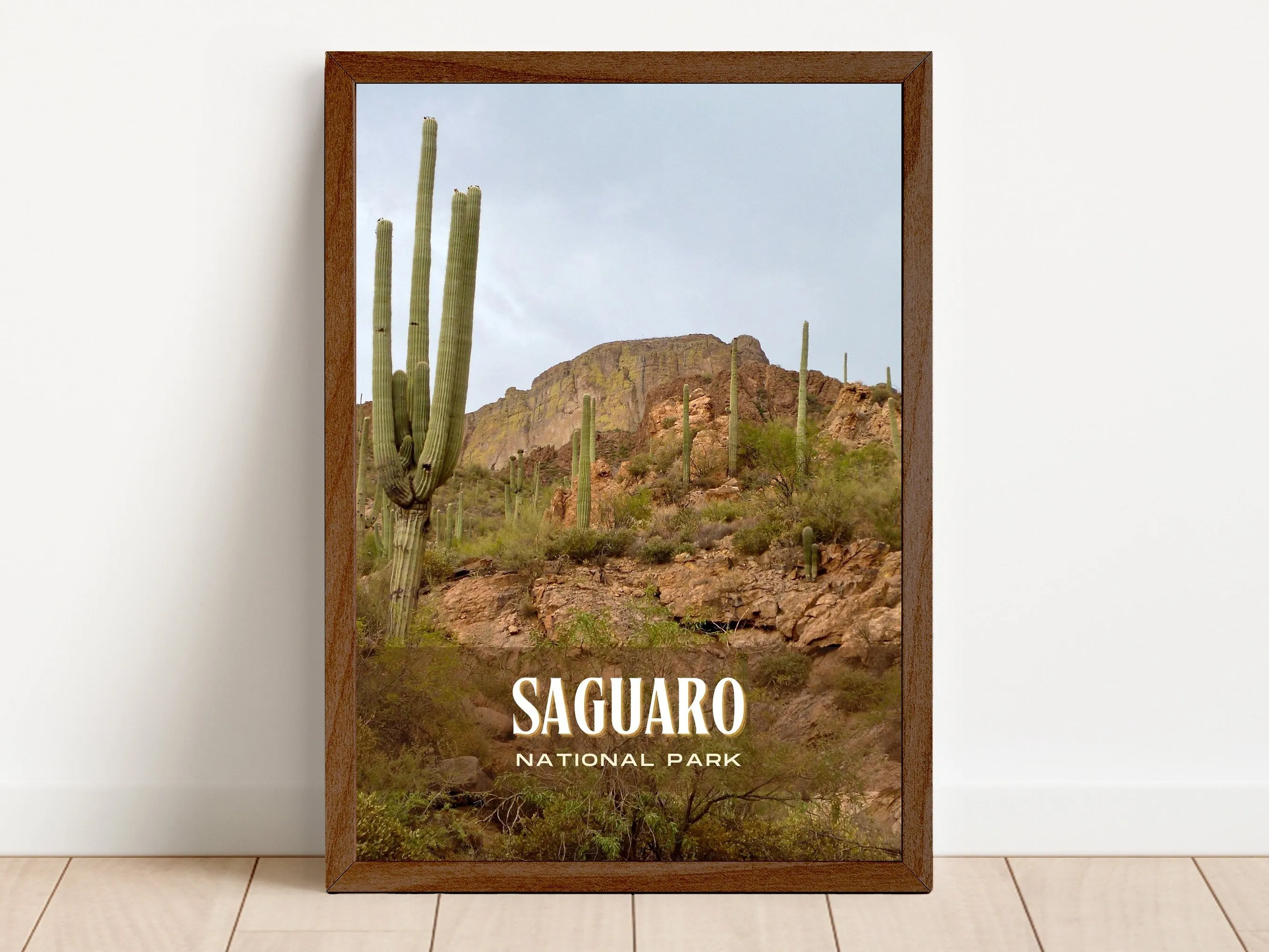 Saguaro National Park Retro Wall Art, Arizona, USA