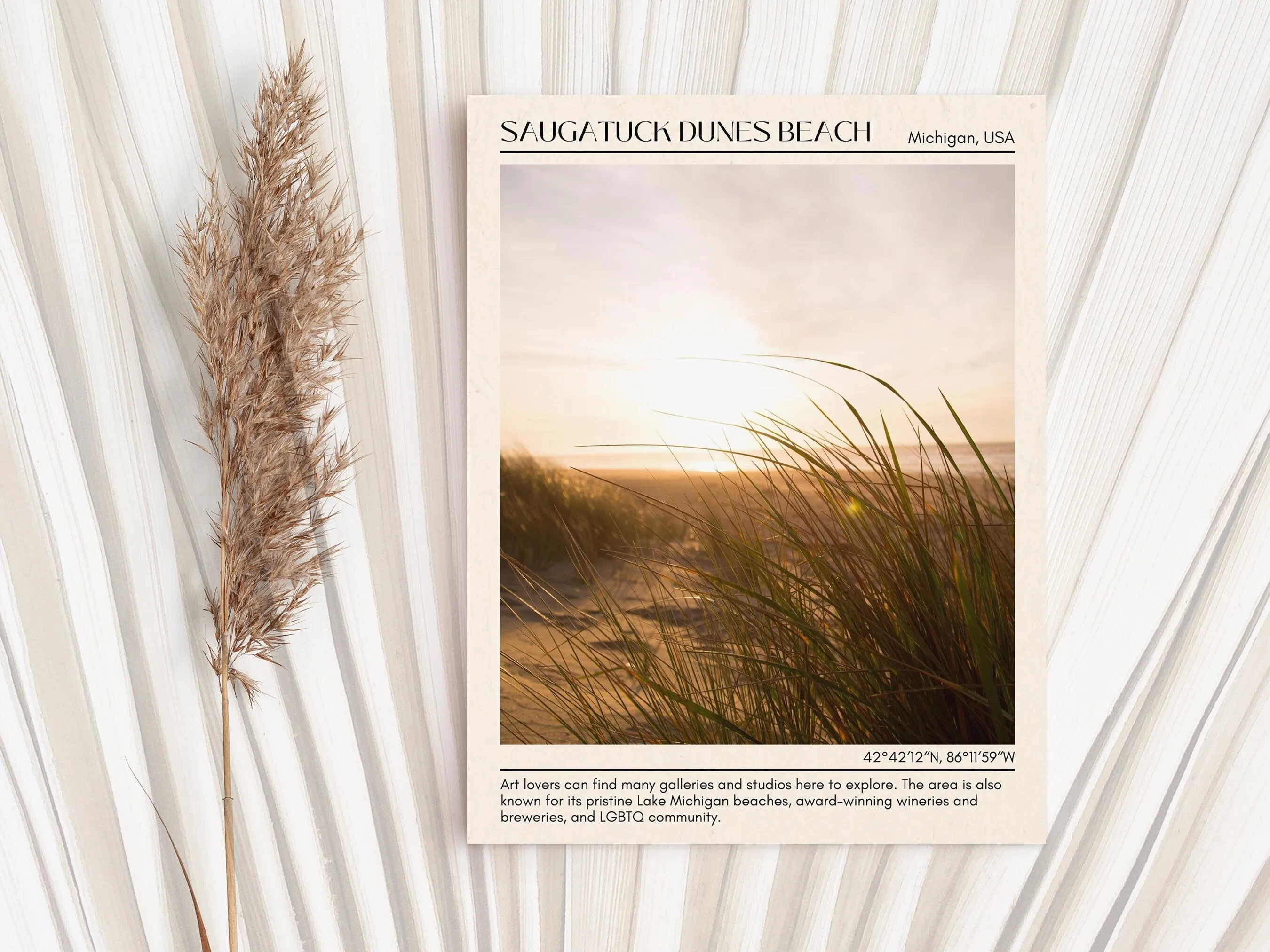 Saugatuck Dunes Beach Wall Canvas, USA