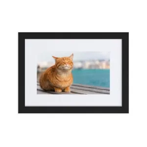 Savor the Day Framed Poster With Mat
