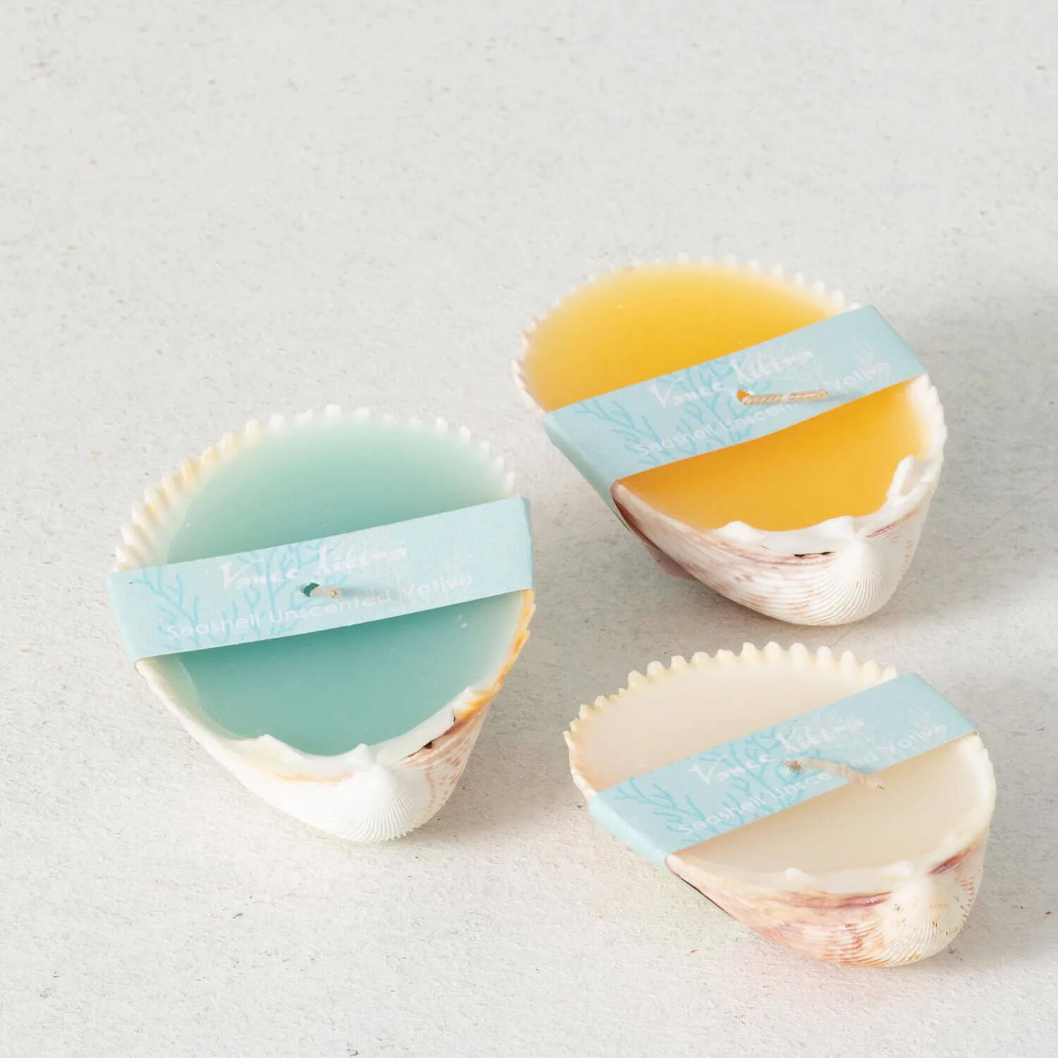 Seashell Candle Set