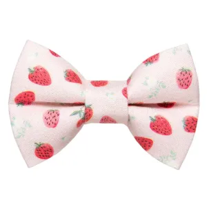 Sweet Pickles Designs Bow Tie The Shortcake