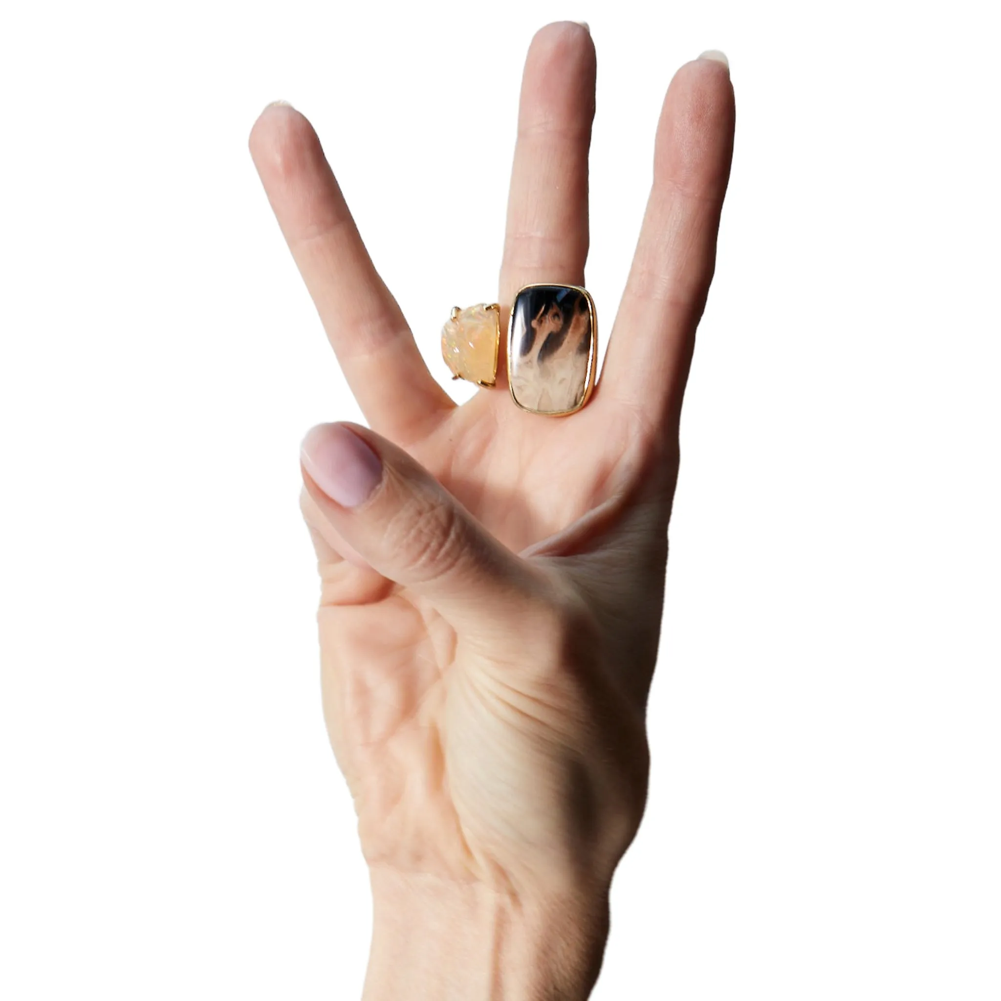 Tandem Ring, Petrified Palm Wood