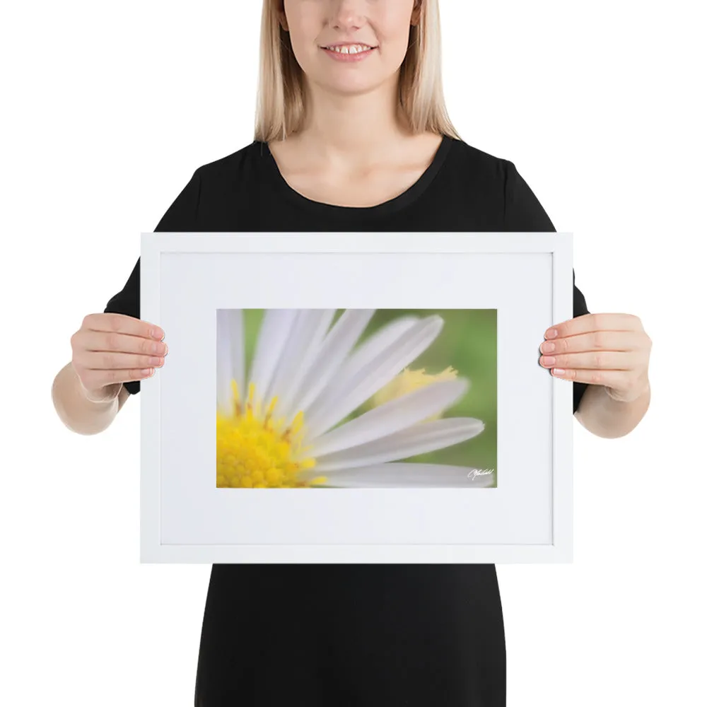 The Daisy Dream Framed Print (1/2)