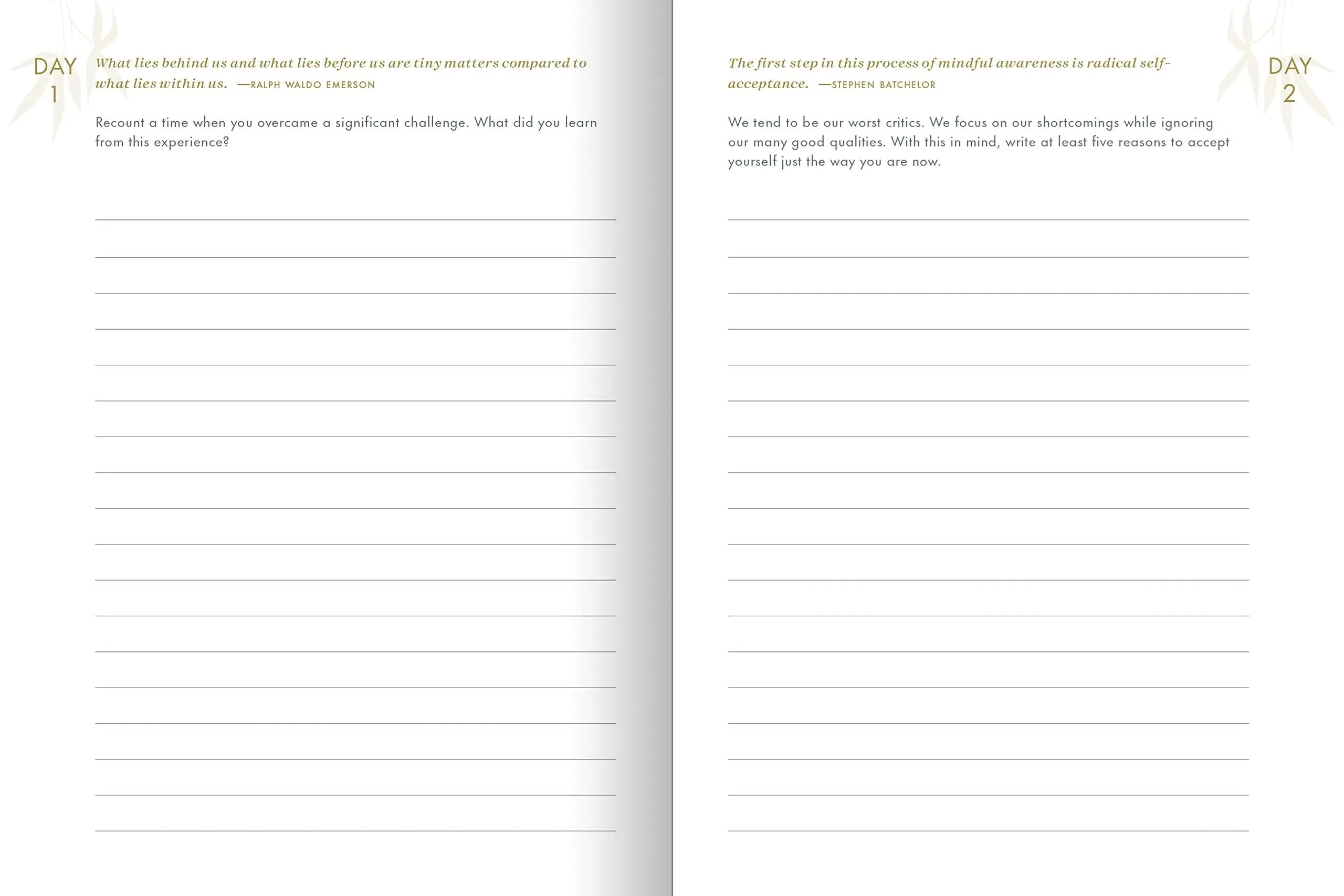 The Resilience Journal