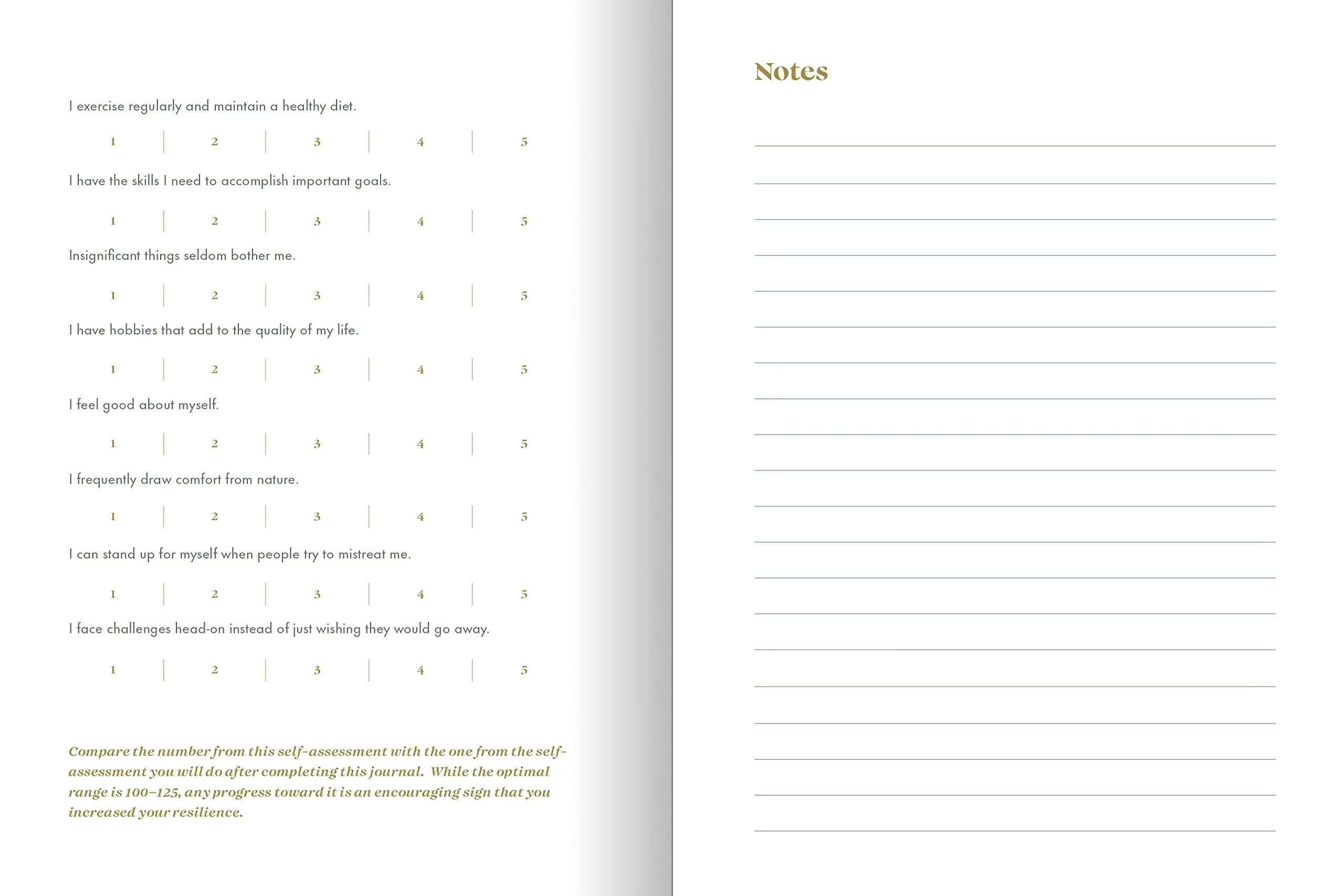 The Resilience Journal