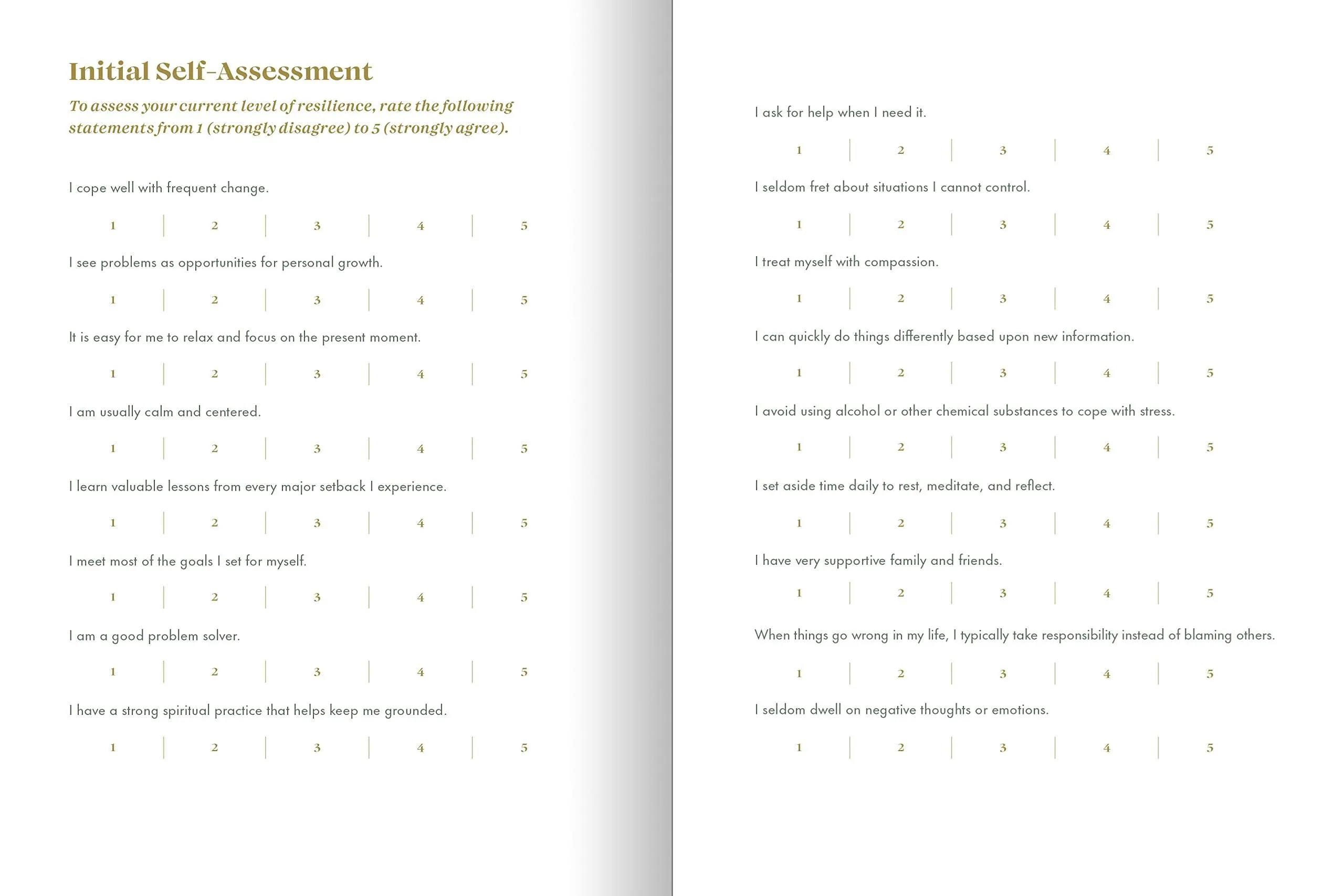 The Resilience Journal