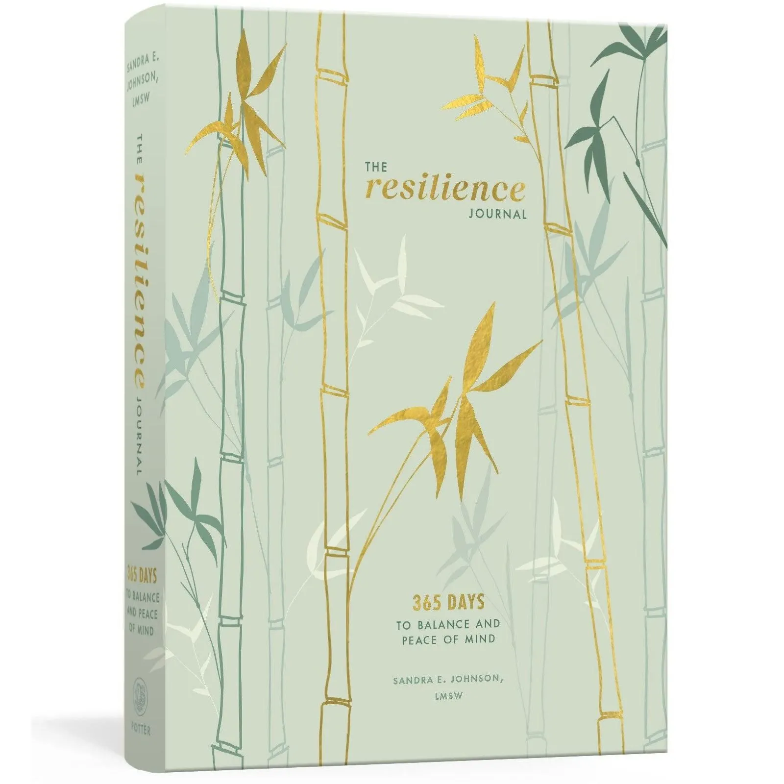 The Resilience Journal