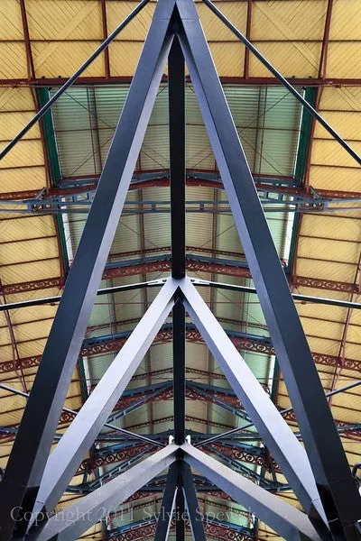 Train Shed Framed - Florence, Italy