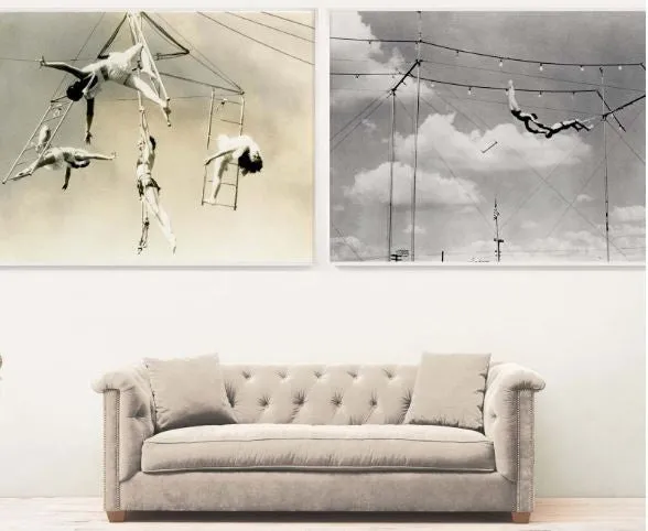 Trapeze 3 - Natural Curiosities