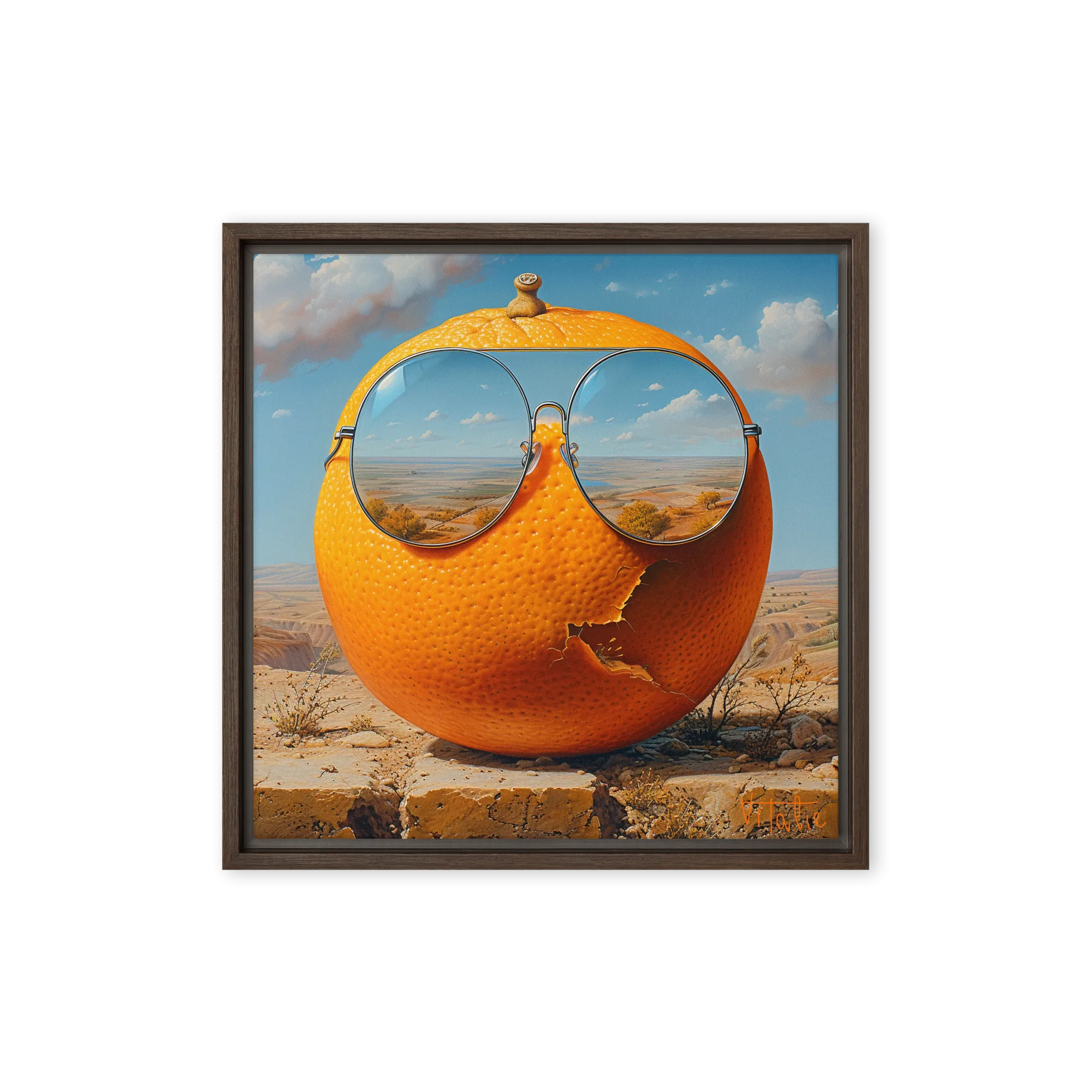 vision of the vitamin sea